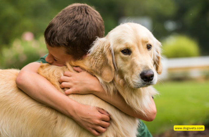 Why Losing a Pet Can Be More Painful Than Losing a Human Loved One